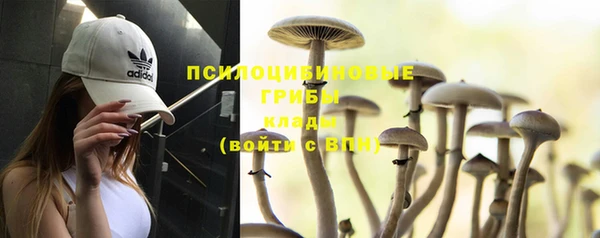 альфа пвп Красноперекопск