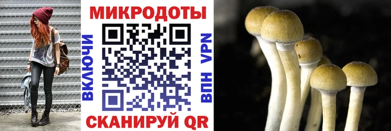 купить наркоту  Перевоз  Галлюциногенные грибы Psilocybine cubensis 