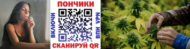 MEGA вход маркетплейс наркотические препараты Бошки Шишки планчик Перевоз